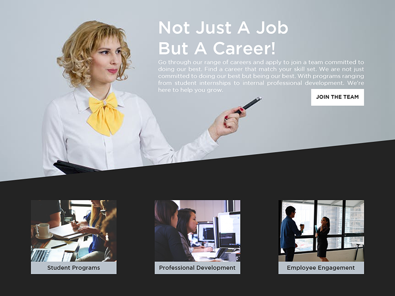 A snippet of the career home page website designed by Katherine Delorme